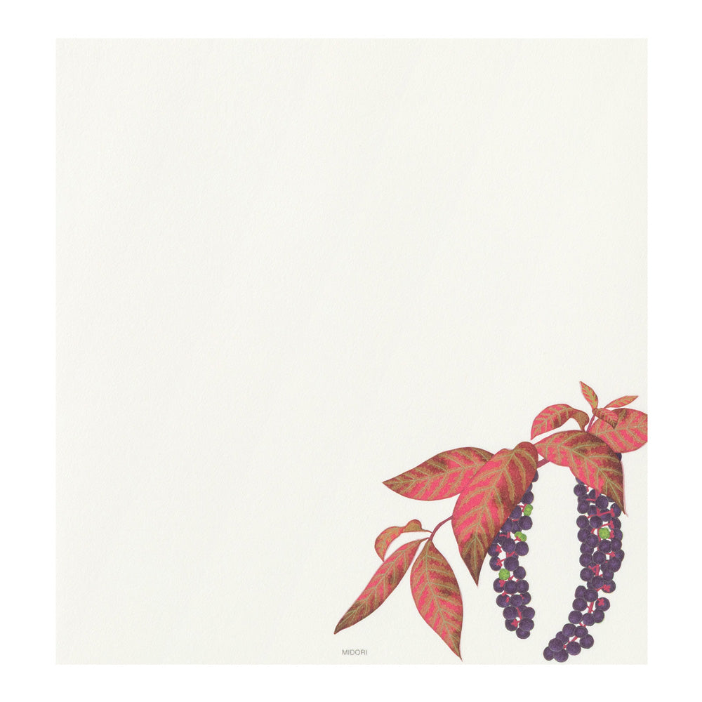 Papier à lettres MIDORI washi - 177 x 168 mm - Fruits d’automne