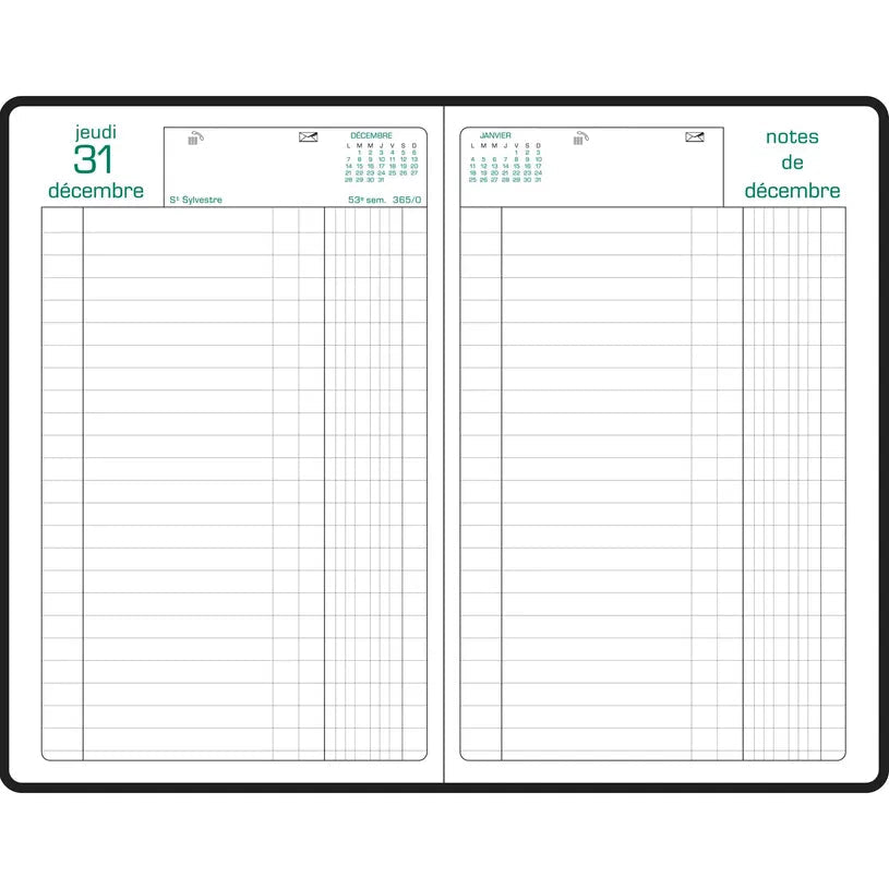 Agenda 2027 EXACOMPTA Carré Euros et cents - 13,5 x 21 cm - 1 jour par page - Orientation horizontale - Vert - 3660942007542