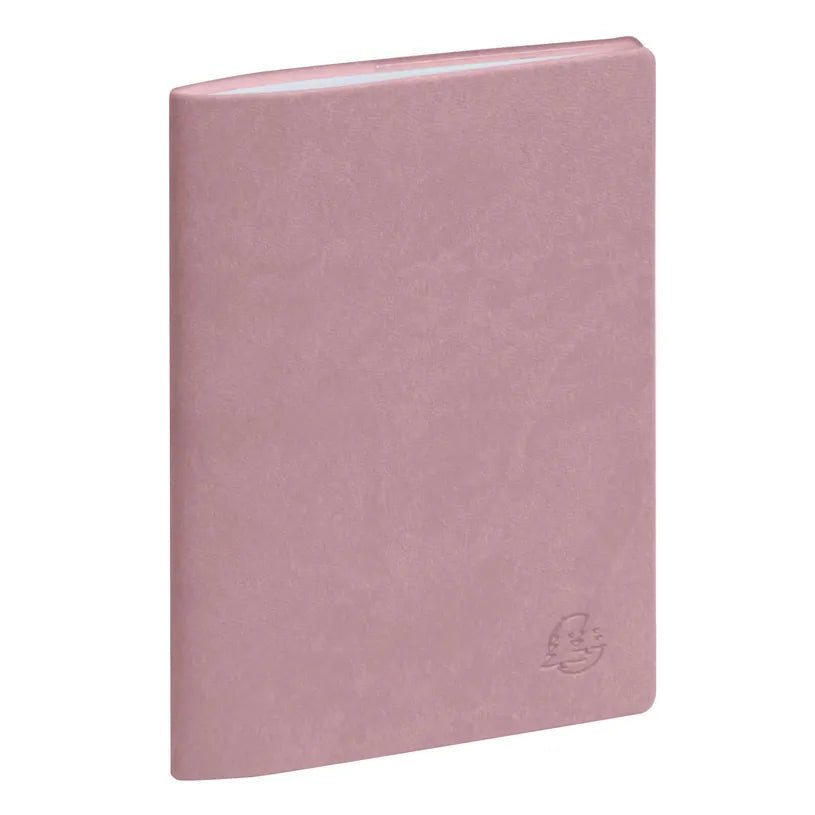Agenda 2027 EXACOMPTA EasySlim 15 - 10 x 15 cm - Mensuel - Orientation horizontale - Ondine rose - 3660942088220