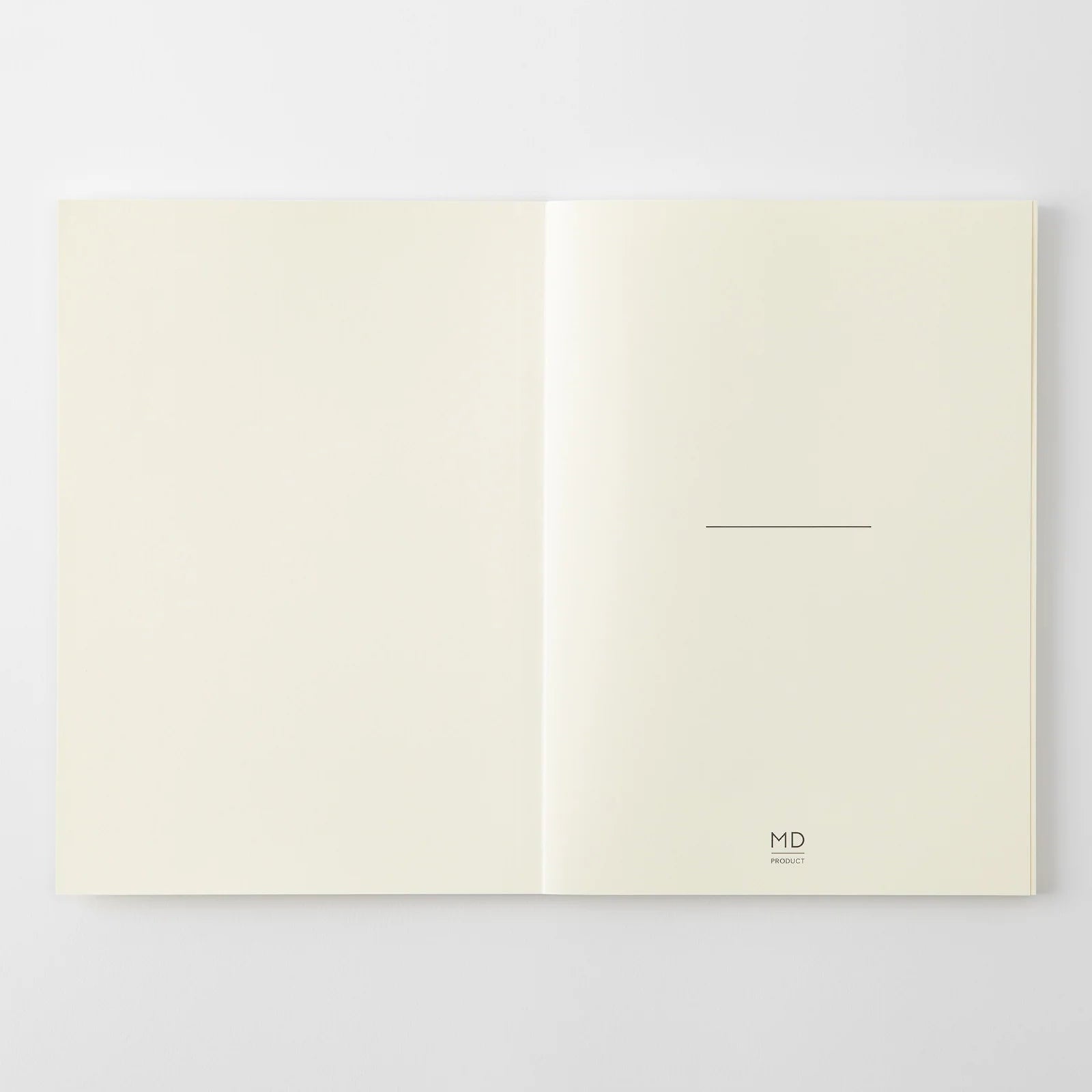 Agenda 2027 MD Notebook Diary Thin - A5 - 4902805224895
