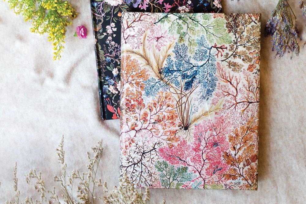 Agenda 2027 PAPERBLANKS Anémone - 1 semaine sur 2 pages - Midi - Hardcover - Horizontal - 176p - 9780349720647