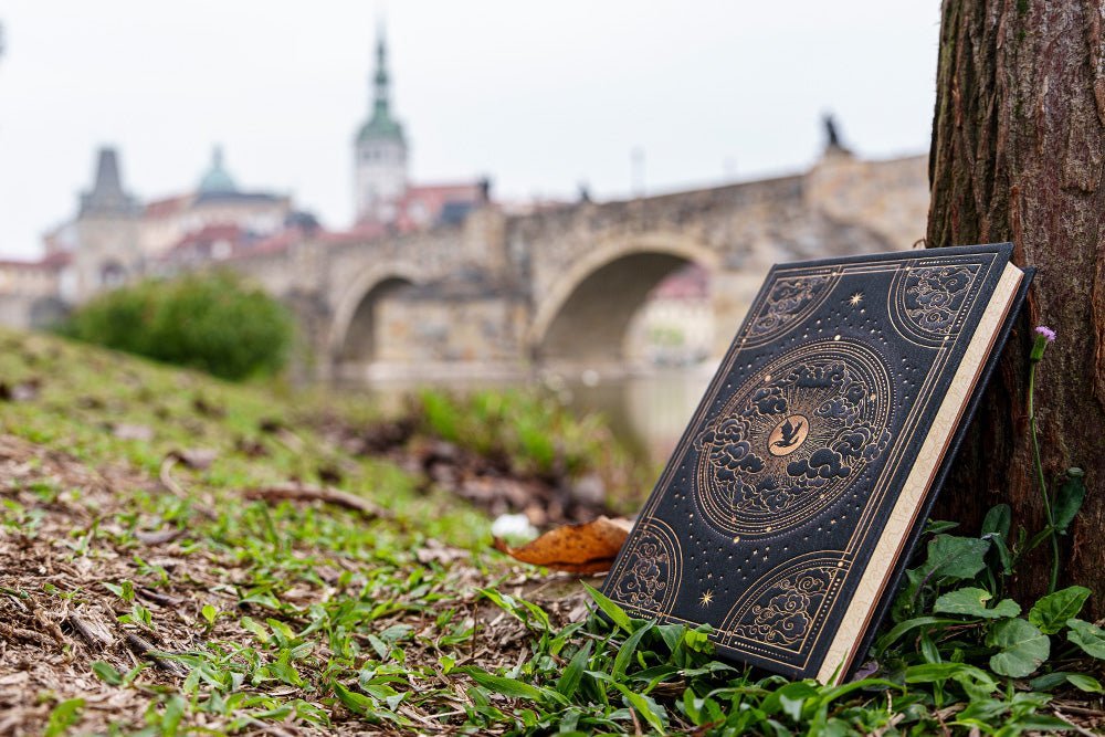 Agenda 2027 PAPERBLANKS Pénombre de Navarre - 1 jour par page - Mini - Hardcover - 432p - 9780349720357