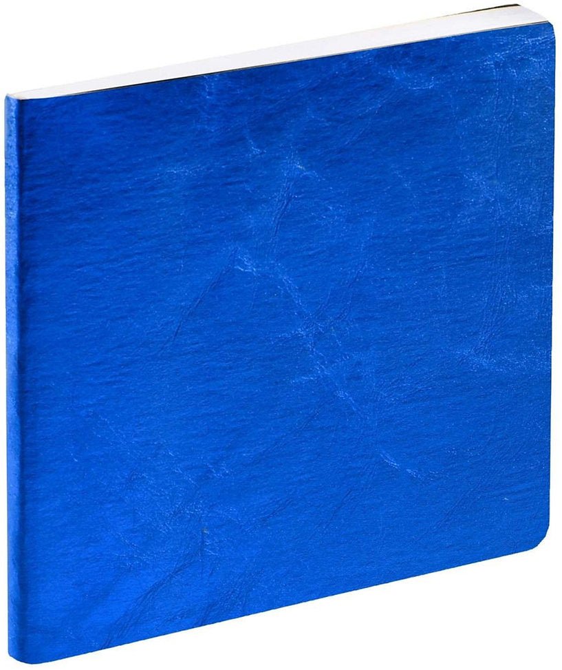 Agenda 2027 QUO VADIS Exécutif Color - 16 x 16 cm - 1 semaine sur 2 pages - Orientation verticale - Susan bleu - 3371010546435