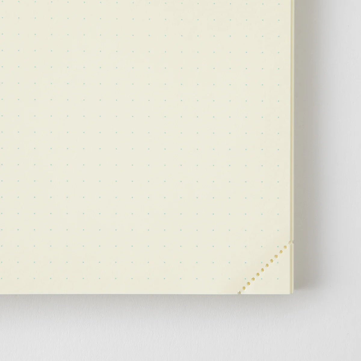 Carnet MD Notebook Codex 1 Day 1 Page - A5 - Pointillé -