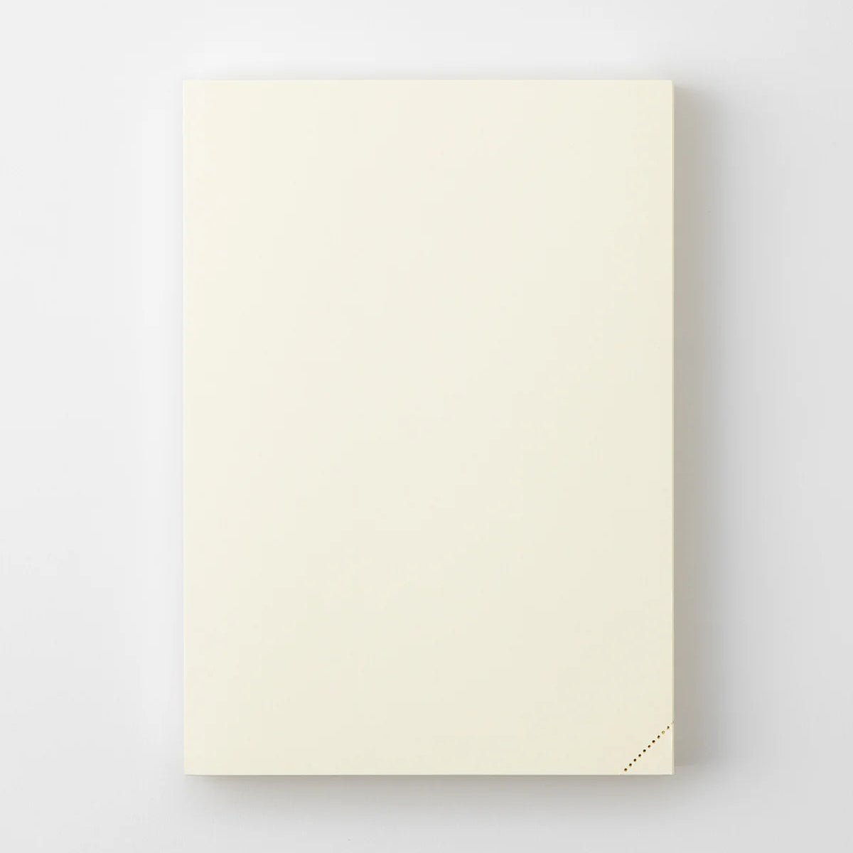 Carnet MD Notebook Codex 1 Day 1 Page - A5 - Uni -