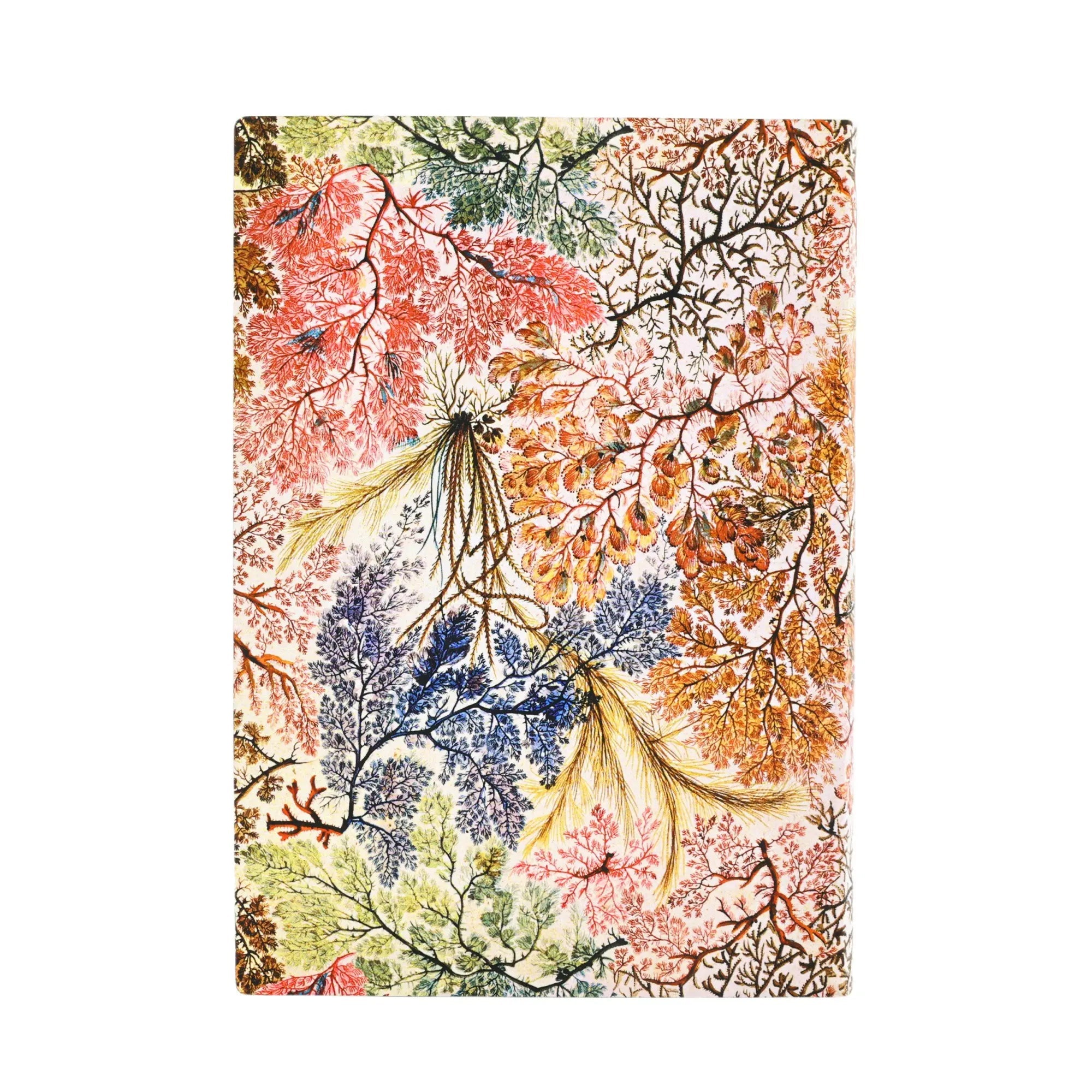 Carnet PAPERBLANKS Anémone - Midi - Softcover - Ligné - 176p - 9781439799048