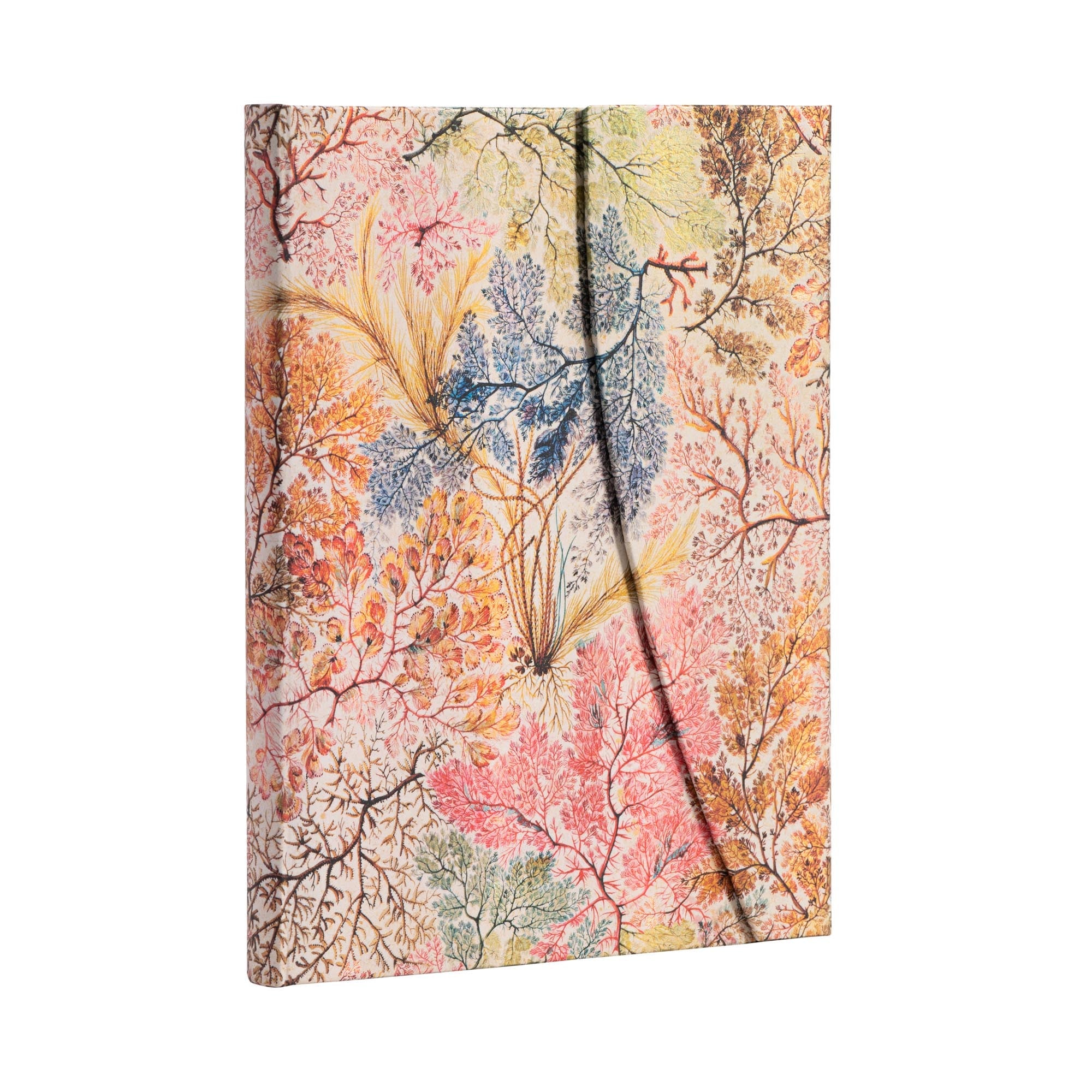 Carnet PAPERBLANKS Anémone - Ultra - Hardcover - Ligné - 144p - 9781439772270