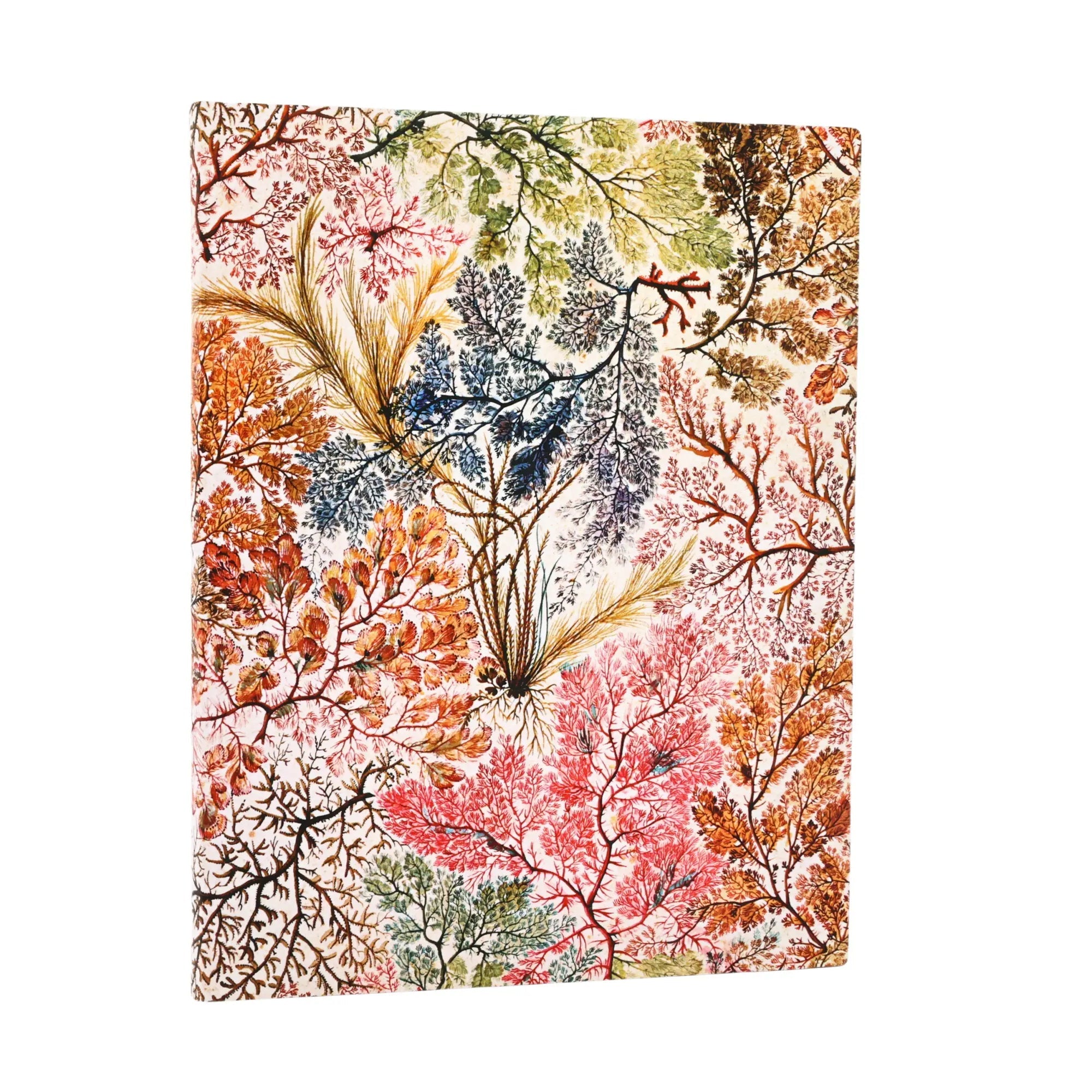 Carnet PAPERBLANKS Anémone - Ultra - Softcover - Uni - 176p - 9781439799031