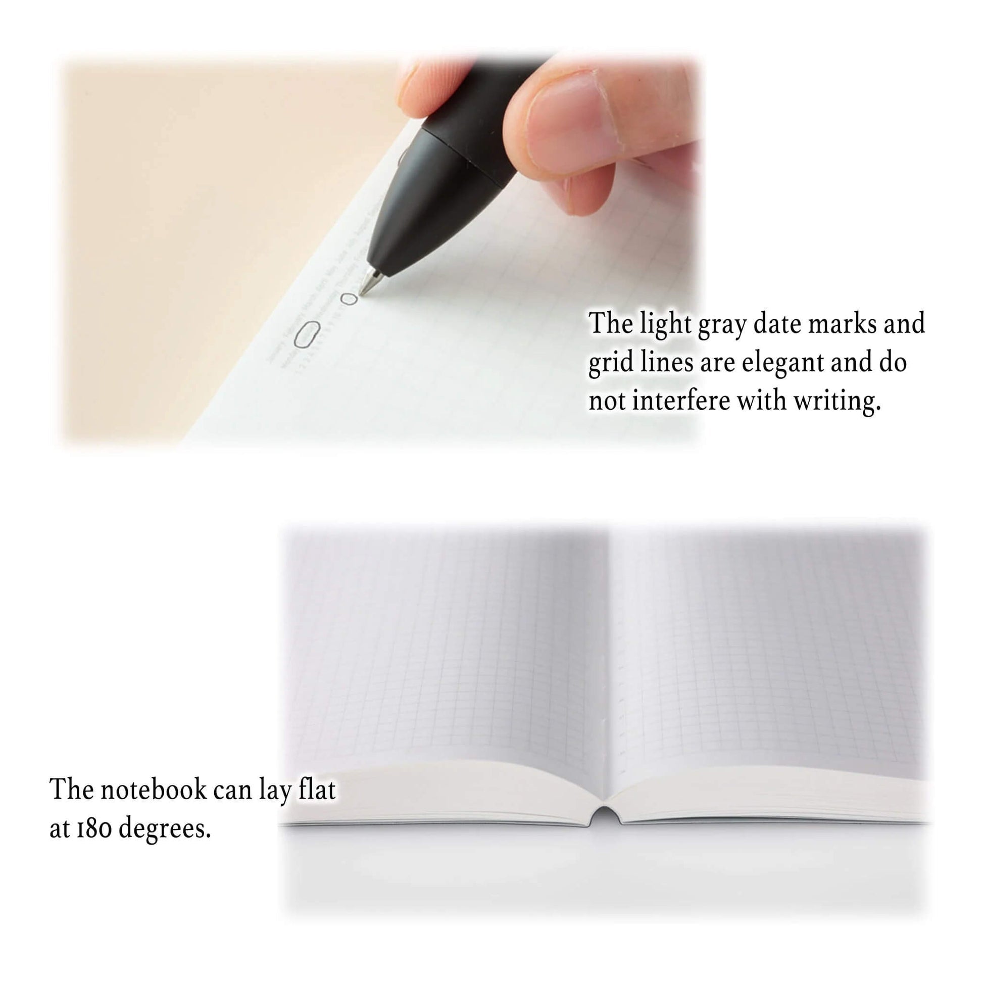 Carnet STÁLOGY 1/2 Year Notebook - A5 - Softcover - Quadrillé - Blue - 4904140081102