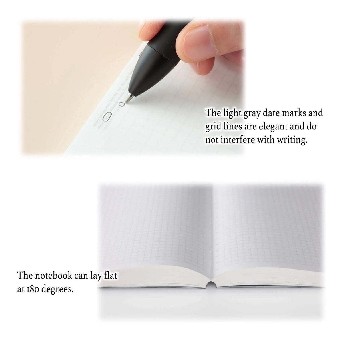 Carnet STÁLOGY 1/2 Year Notebook - B6 - Softcover - Quadrillé - Red - 4904140081249