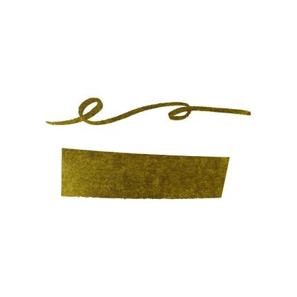 Flacon d'encre JACQUES HERBIN - Encre d'écriture - Vert Cactus (30ml) - 30 ml - 3188550130341