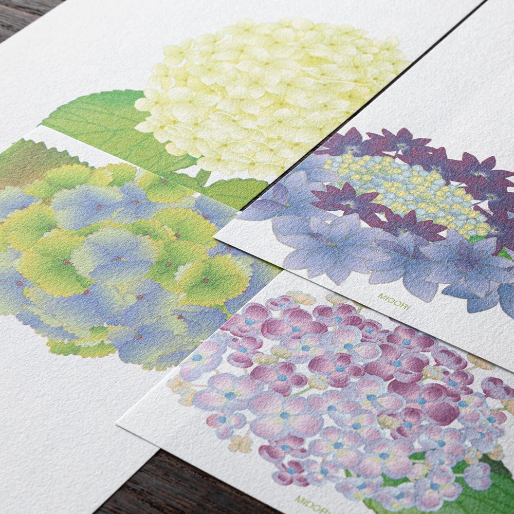 Papier à lettres MIDORI washi - 177 x 84 mm - Hortensia -