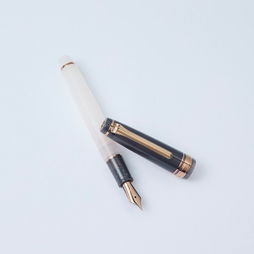 Stylo plume SAILOR Pro Gear Slim Dried Flower II - Black Rose - Fine (F) - 4901680606824