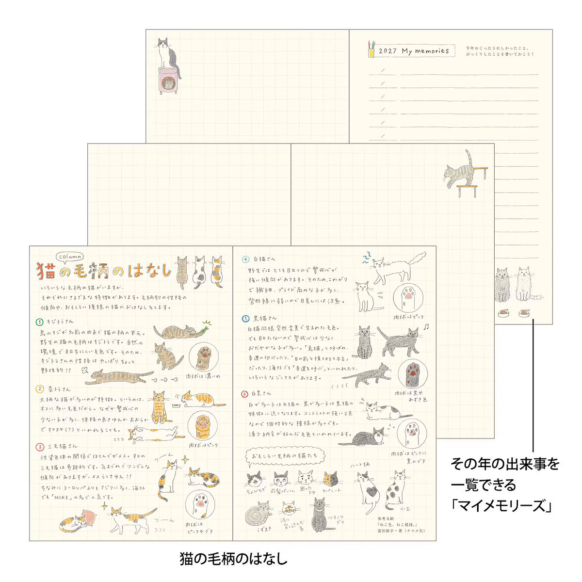 Agenda 2027 MIDORI Pocket Diary - B6 - Chat
