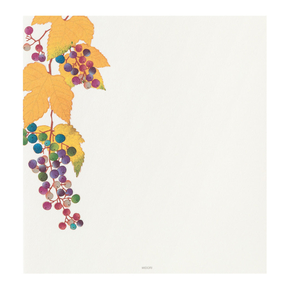 Papier à lettres MIDORI washi - 177 x 168 mm - Fruits d’automne