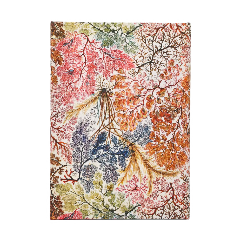 Agenda 2027 PAPERBLANKS Anémone - 1 semaine sur 2 pages - Midi - Hardcover - Vertical - 176p