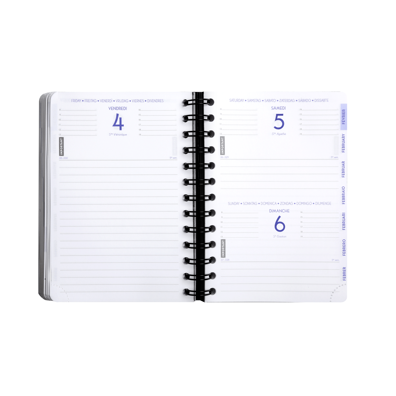 Agenda 2025 - 2026 EXACOMPTA Forum - 12 x 17 cm - 1 jour par page - Orientation horizontale - Iderama bleu - 3660942065207