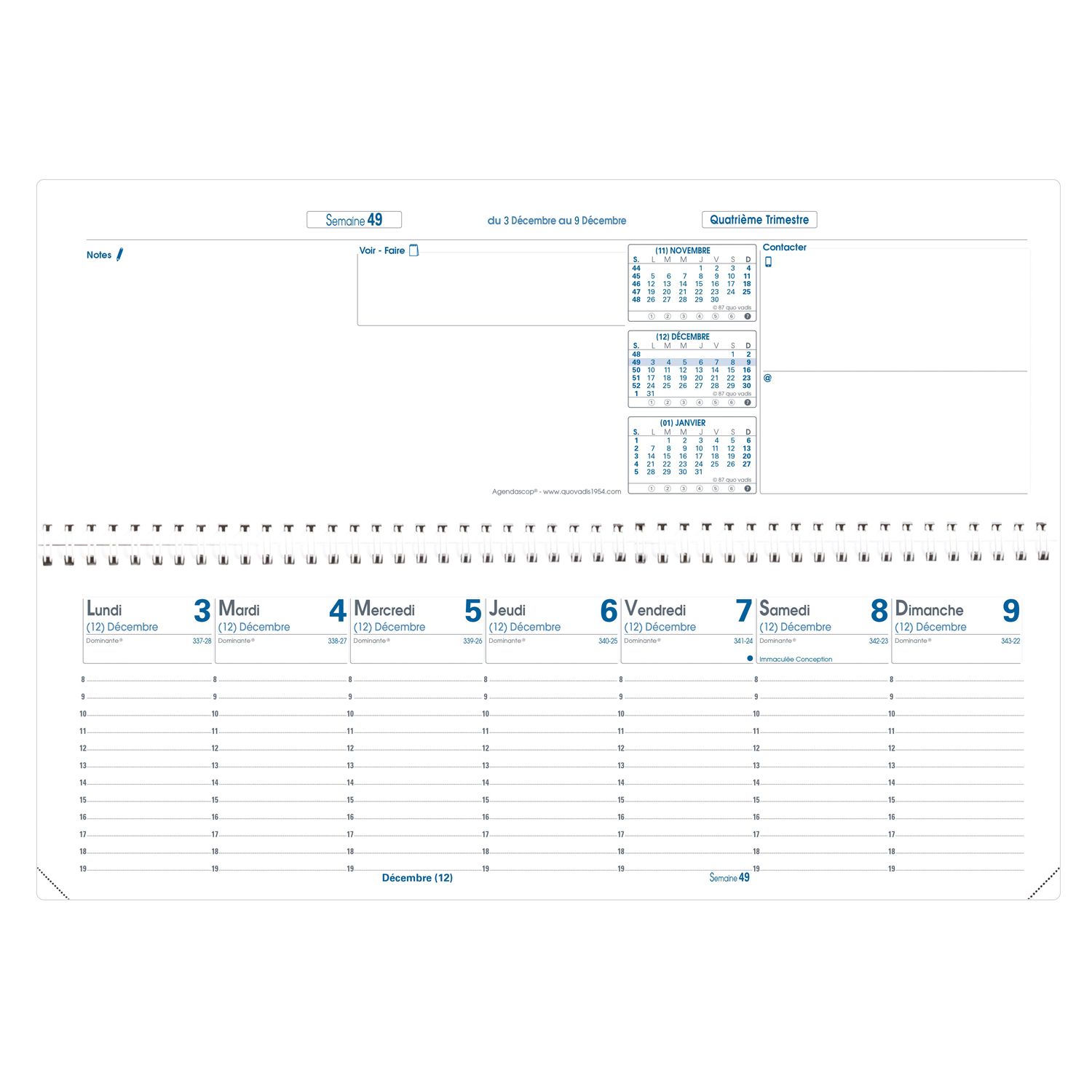 Agenda 2025 QUO VADIS Agendascop Impala - 1 semaine + notes - 30 x 10 cm - Bleu océan - 3371010482665