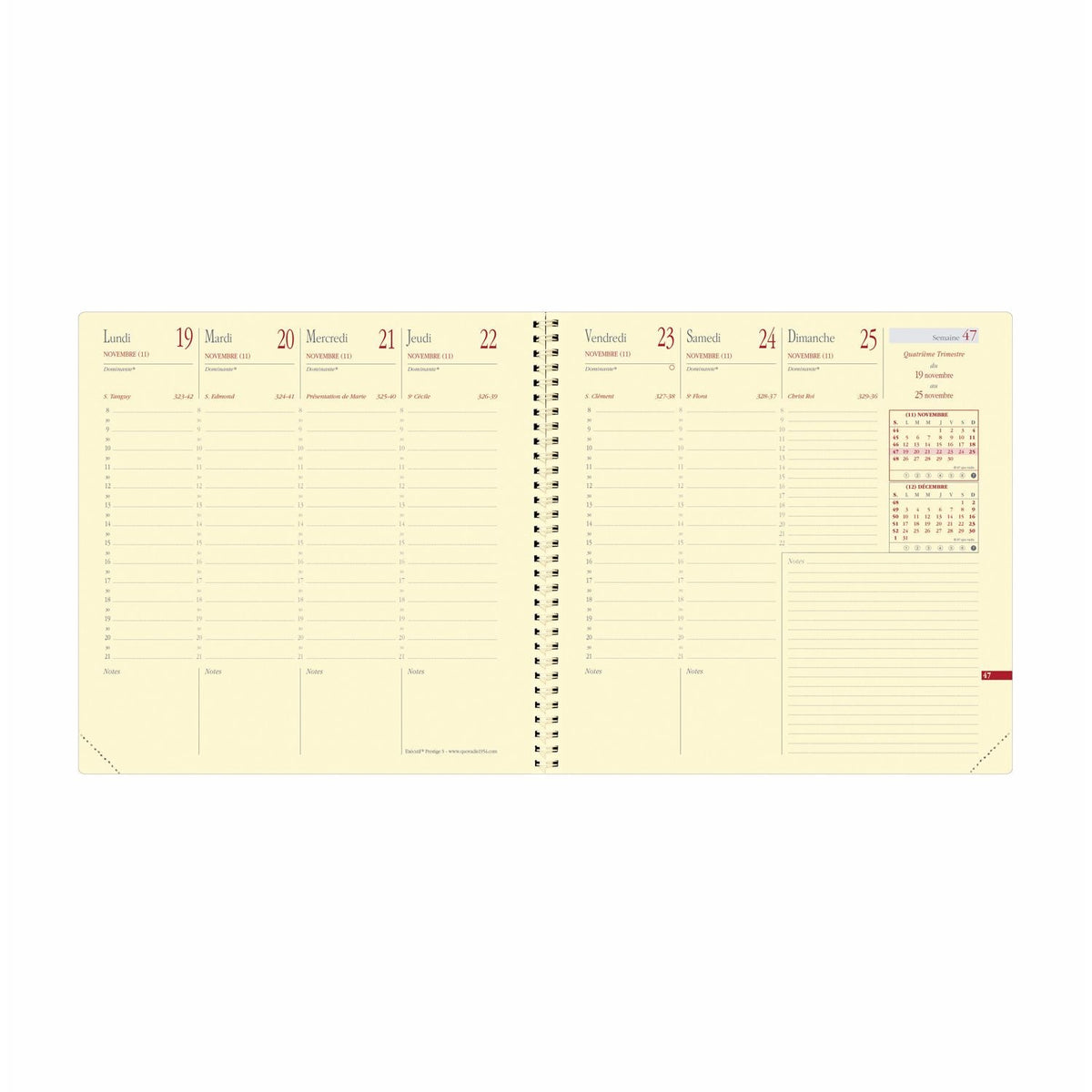 Agenda 2025 QUO VADIS Exécutif Prestige S Impala - 1 semaine sur 2 pages - 16 x 16 cm - Bleu prusse - 3371010481385
