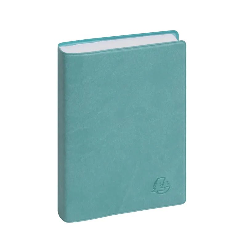 Agenda 2027 EXACOMPTA EasyDay 15 - 10 x 15 cm - 1 jour par page - Orientation horizontale - Ondine bleu eucalyptus - 3660942088046