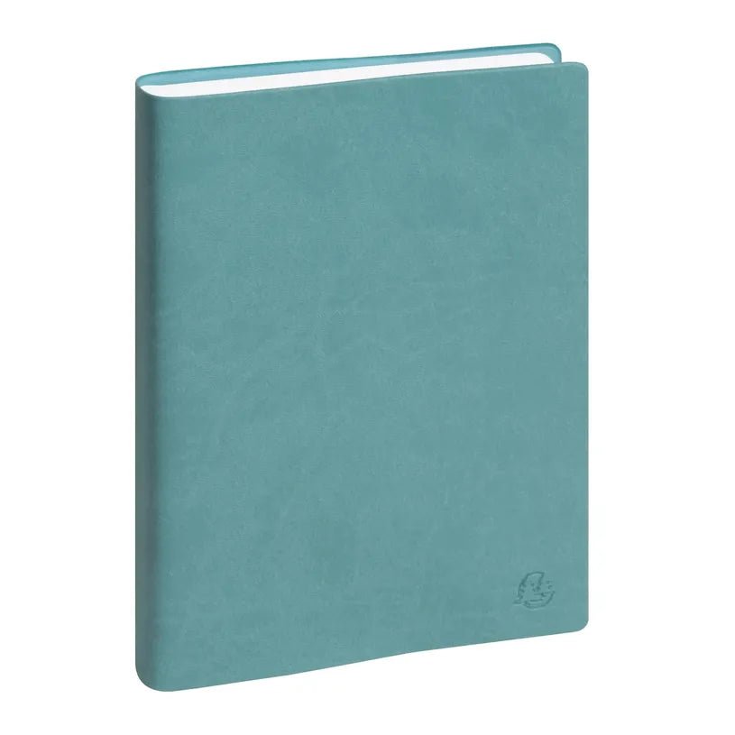 Agenda 2027 EXACOMPTA EasyDay 21 - 15 x 21 cm - 1 jour par page - Orientation horizontale - Ondine bleu eucalyptus - 3660942088121