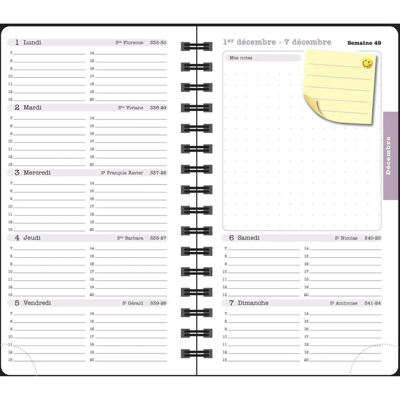 Agenda 2027 EXACOMPTA Lady 16S - 9 x 16 cm - 1 semaine + notes - Orientation horizontale - Alysse jaune - 3660942090971