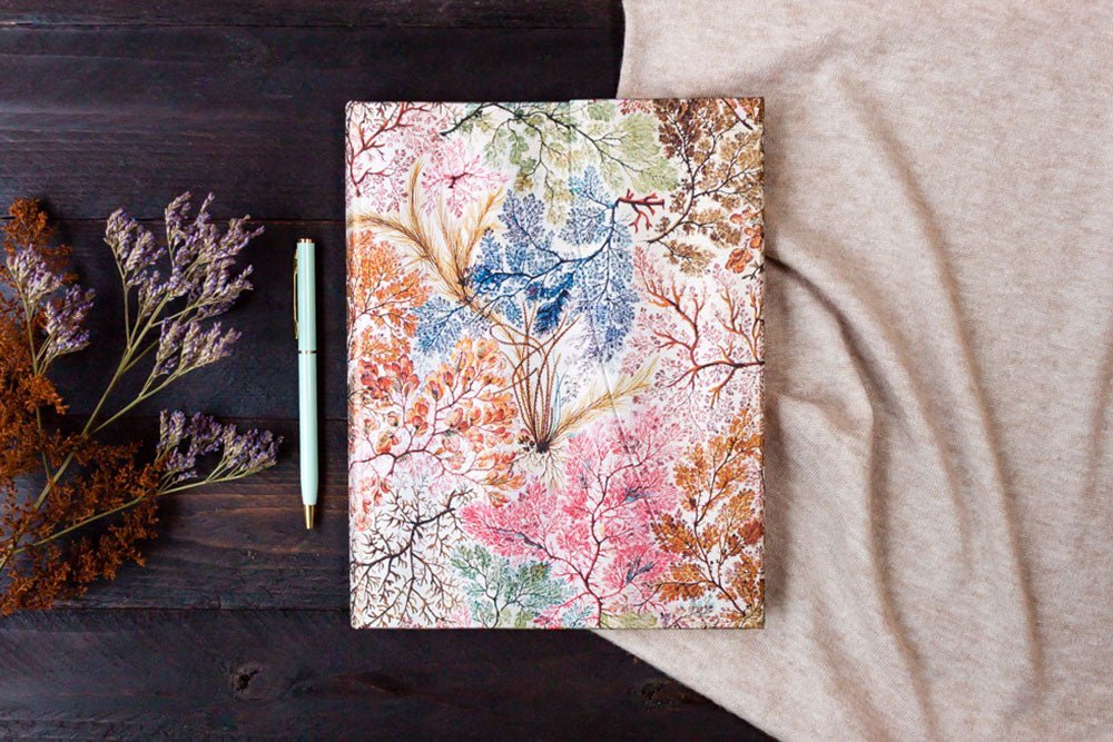 Agenda 2027 PAPERBLANKS Anémone - 1 semaine sur 2 pages - Midi - Hardcover - Vertical - 176p - 9780349720746