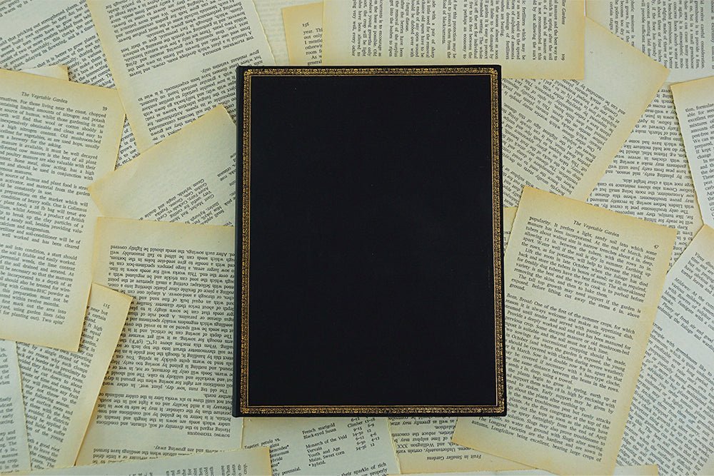 Agenda 2027 PAPERBLANKS Black Edition - 1 semaine sur 2 pages - Maxi - Hardcover - Vertical - 176p - 9780349720890