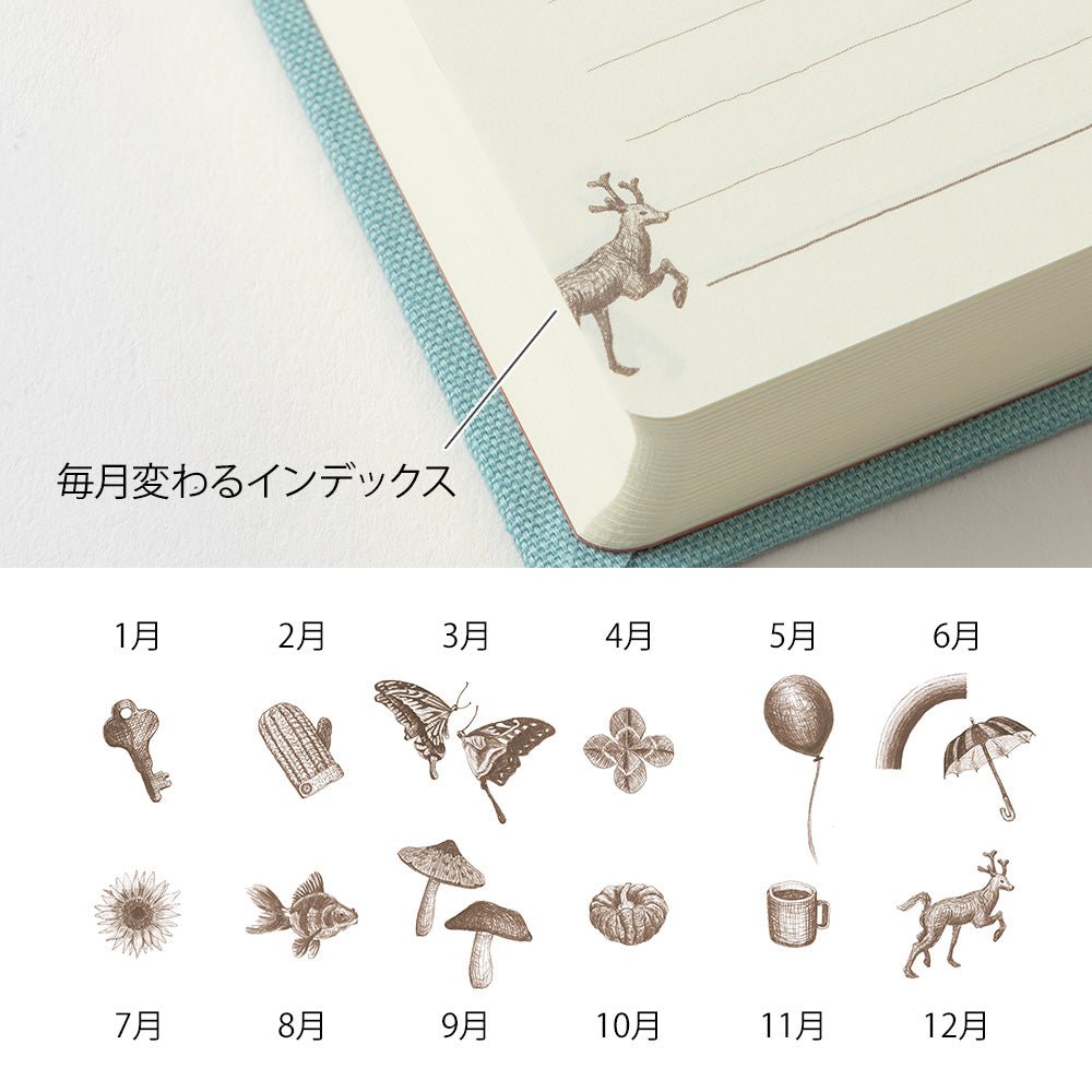 Agenda perpétuel MIDORI 3 Years Diary - Bleu clair - 