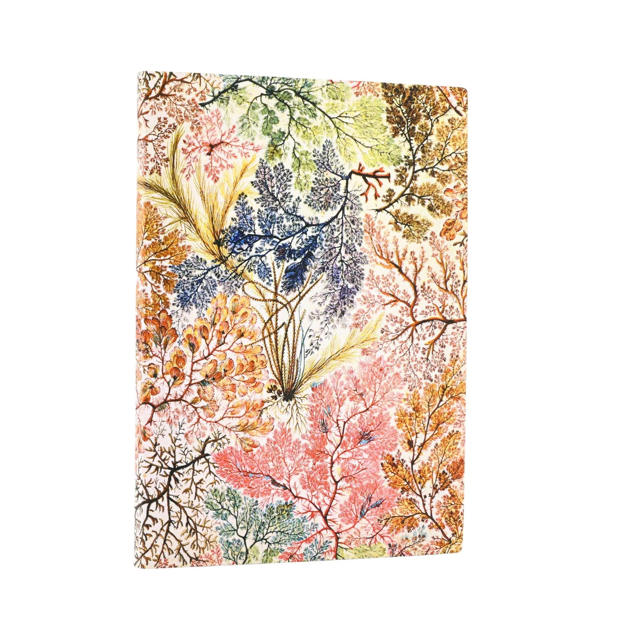 Carnet PAPERBLANKS Anémone - Midi - Softcover - Ligné - 176p - 9781439799048