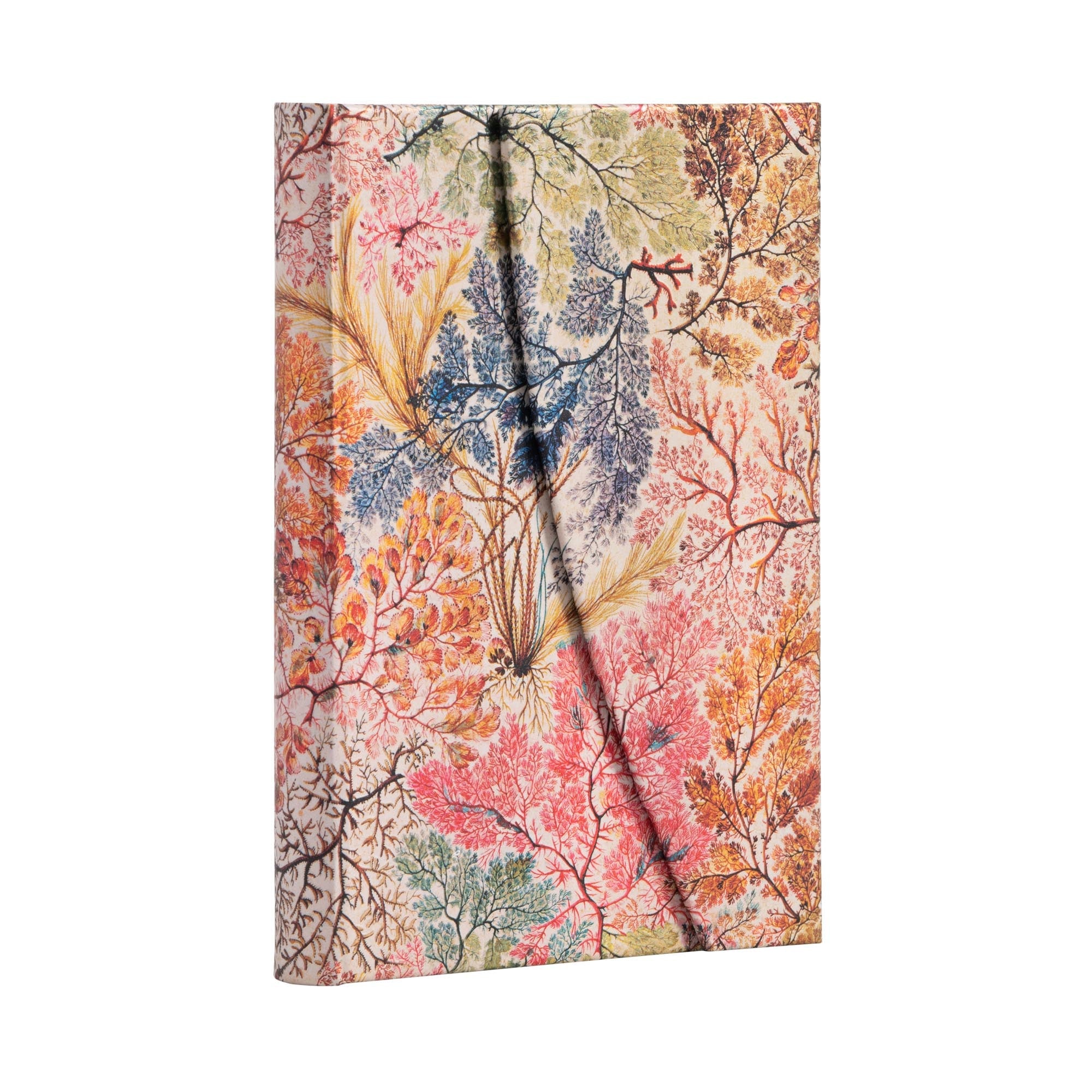 Carnet PAPERBLANKS Anémone - Mini - Hardcover - Ligné - 176p - 9781439772294
