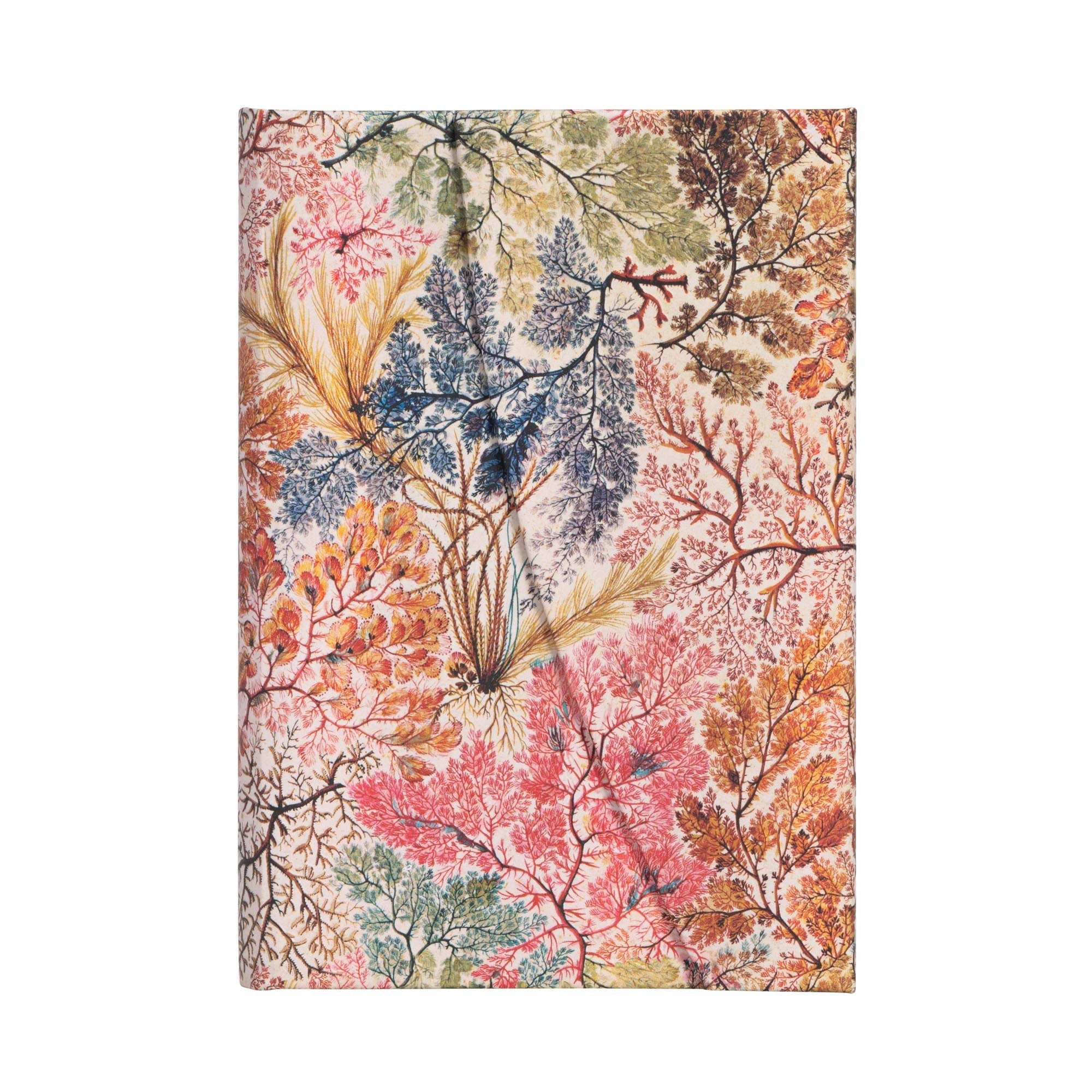 Carnet PAPERBLANKS Anémone - Mini - Hardcover - Ligné - 176p - 9781439772294