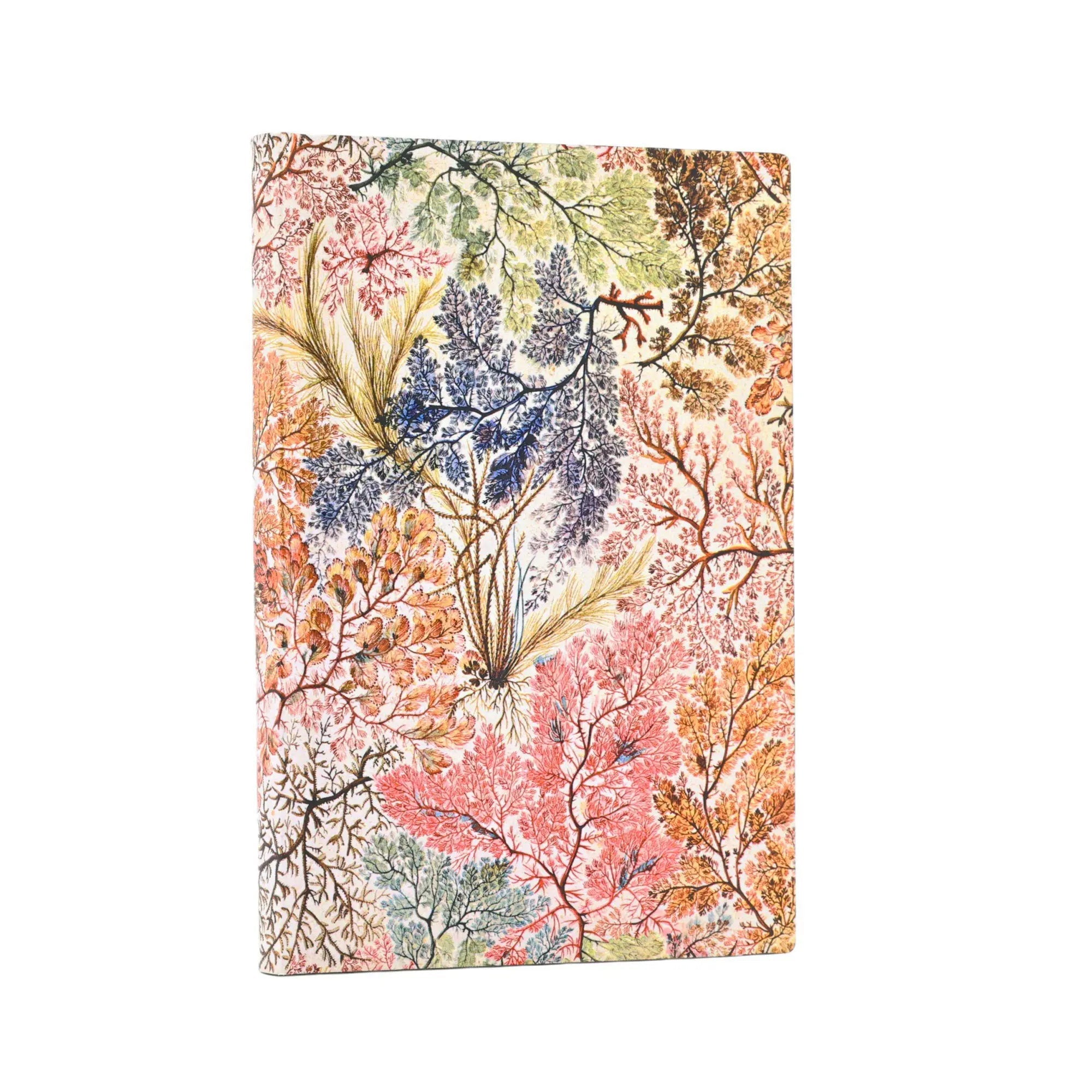 Carnet PAPERBLANKS Anémone - Mini - Softcover - Ligné - 208p - 9781439799062