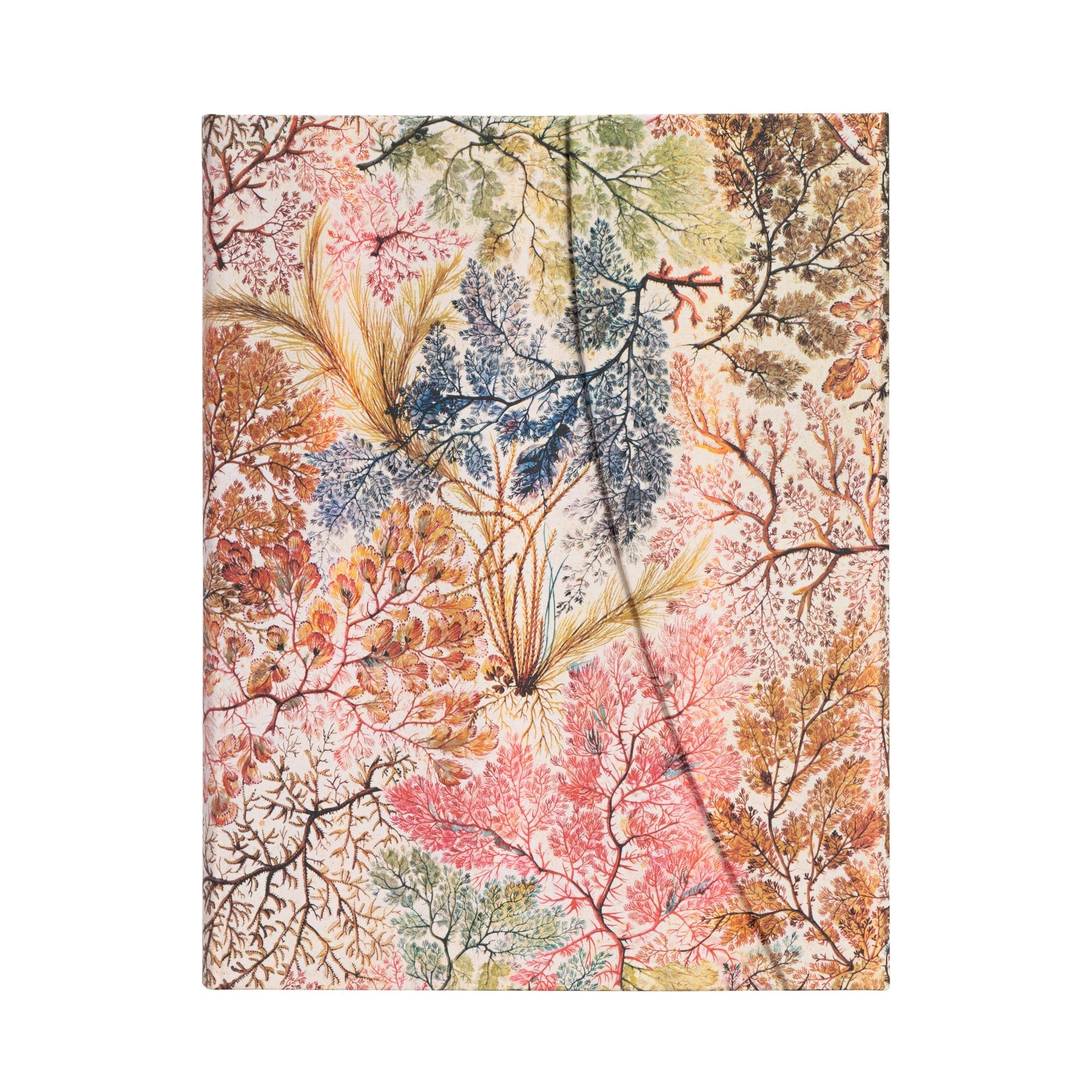 Carnet PAPERBLANKS Anémone - Ultra - Hardcover - Ligné - 144p - 9781439772270