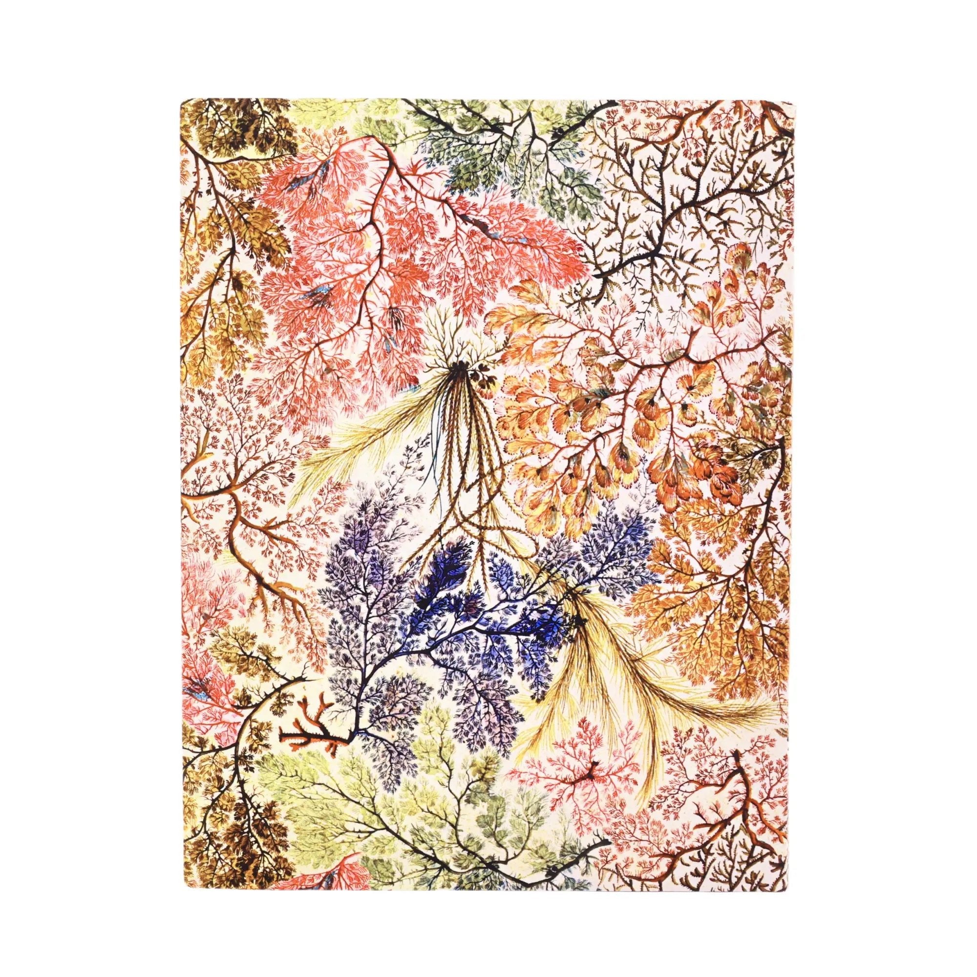 Carnet PAPERBLANKS Anémone - Ultra - Softcover - Uni - 176p - 9781439799031