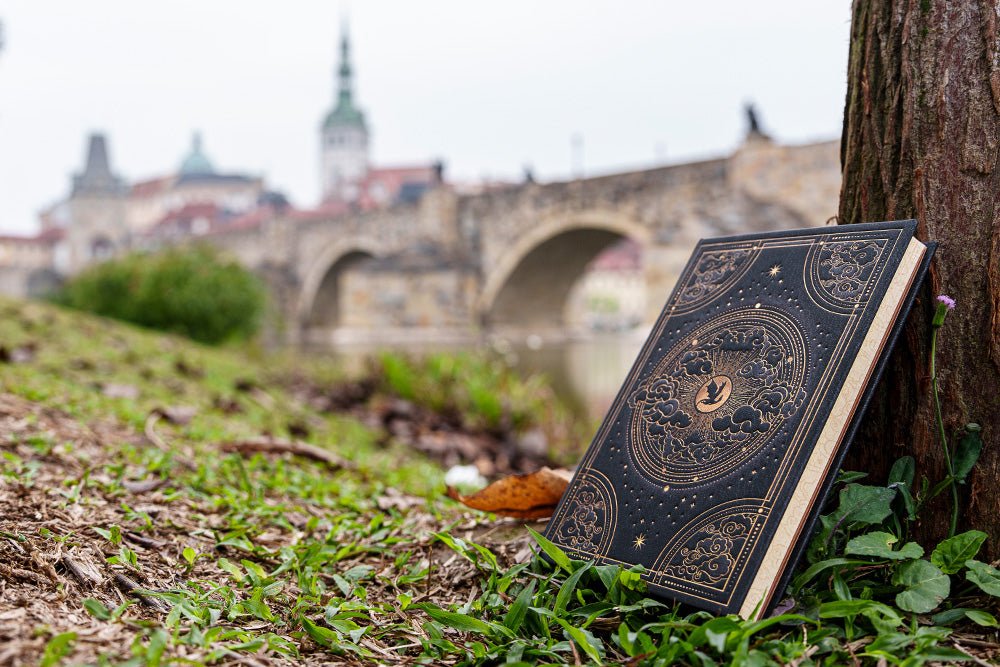 Carnet PAPERBLANKS Pénombre de Navarre - Midi - Hardcover - Uni - 144p - 9781439799895
