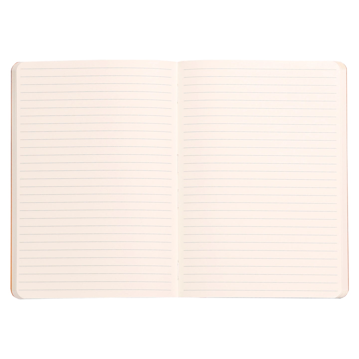 Carnet RHODIA Rhodiarama - A5 - Softcover - Ligné - Céladon - 3037921173756
