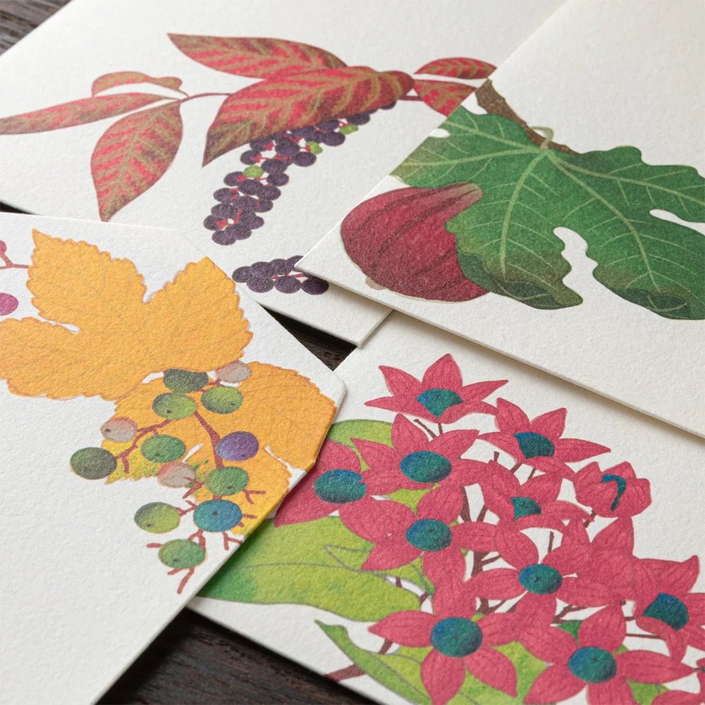 Enveloppes MIDORI washi - 188 x 90 mm - Fruits d’automne - 4902805810340