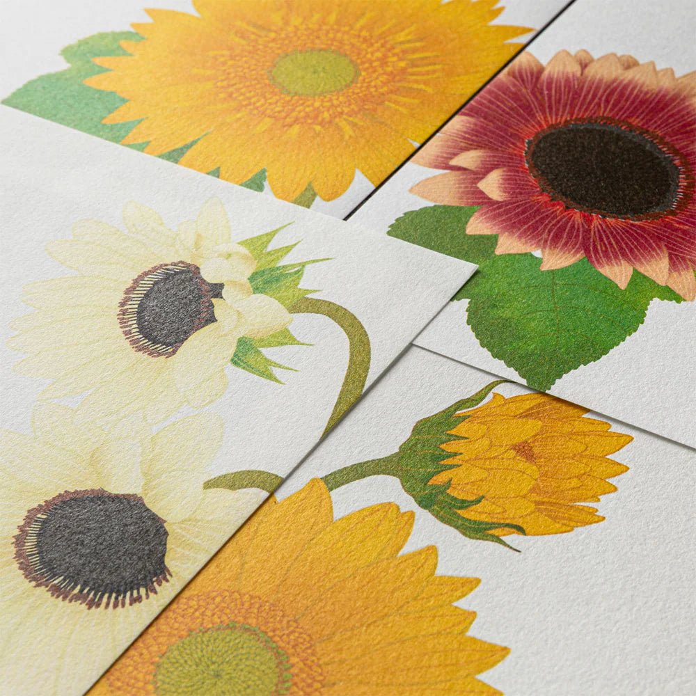 Papier à lettres MIDORI washi - 177 x 168 mm - Tournesols - 4902805810258