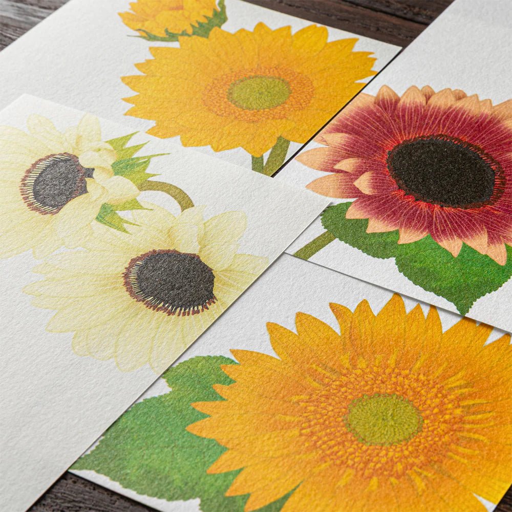 Papier à lettres MIDORI washi - 177 x 84 mm - Tournesols - 4902805896054