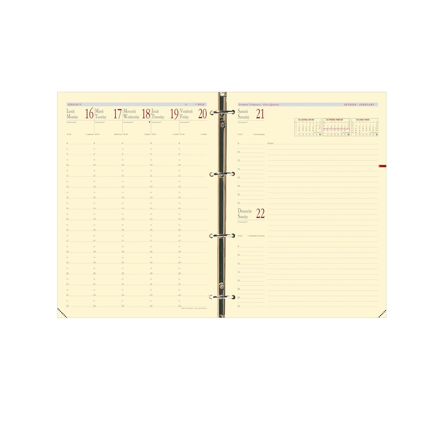 Recharge Organiseur 2024-2025 QUO VADIS Timer 29 Prestige - 1 semaine + notes - 21 x 29.3 cm - 3371010119141