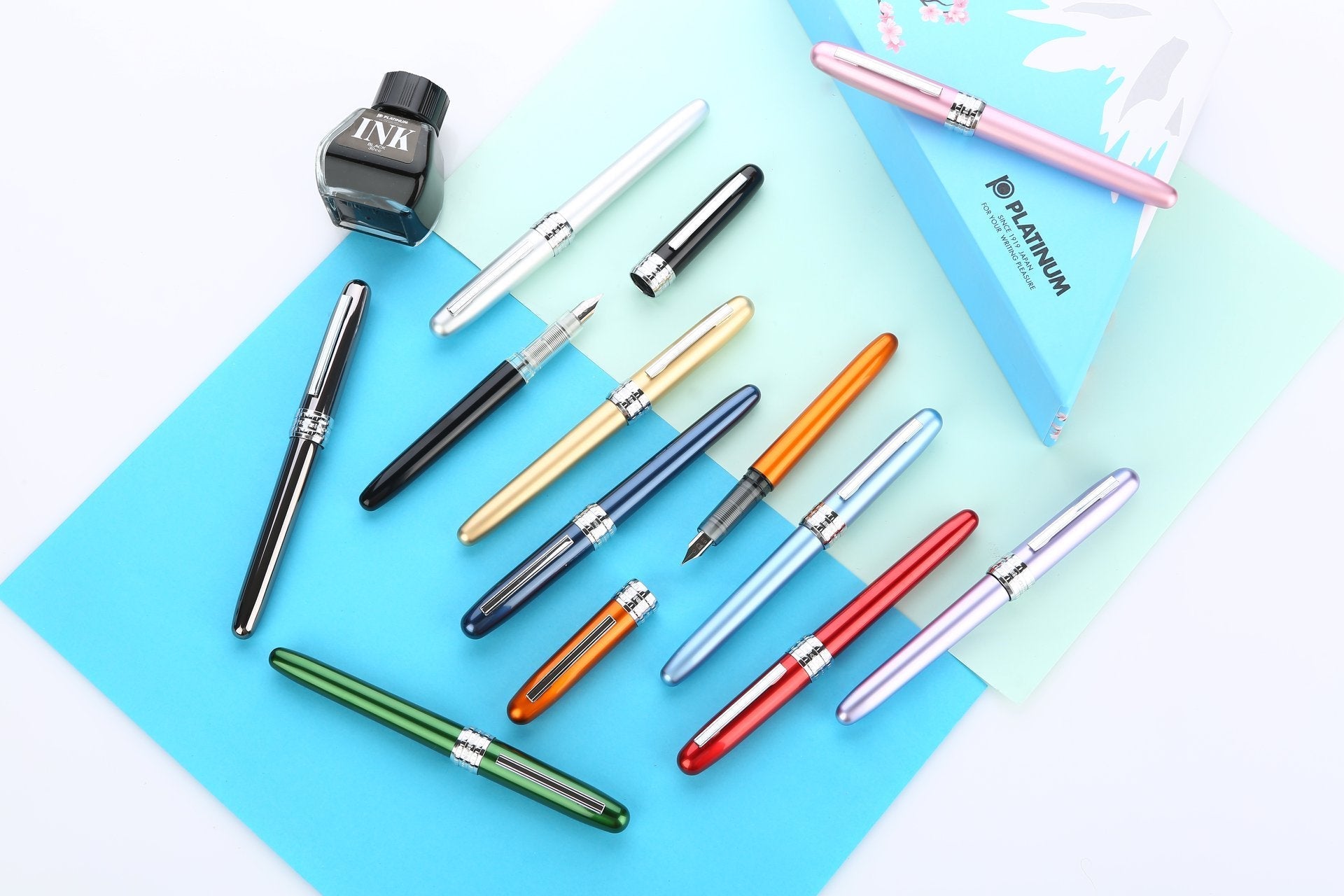 Stylo plume PLATINUM Plaisir - Noir - Fine (F) - 4977114911026