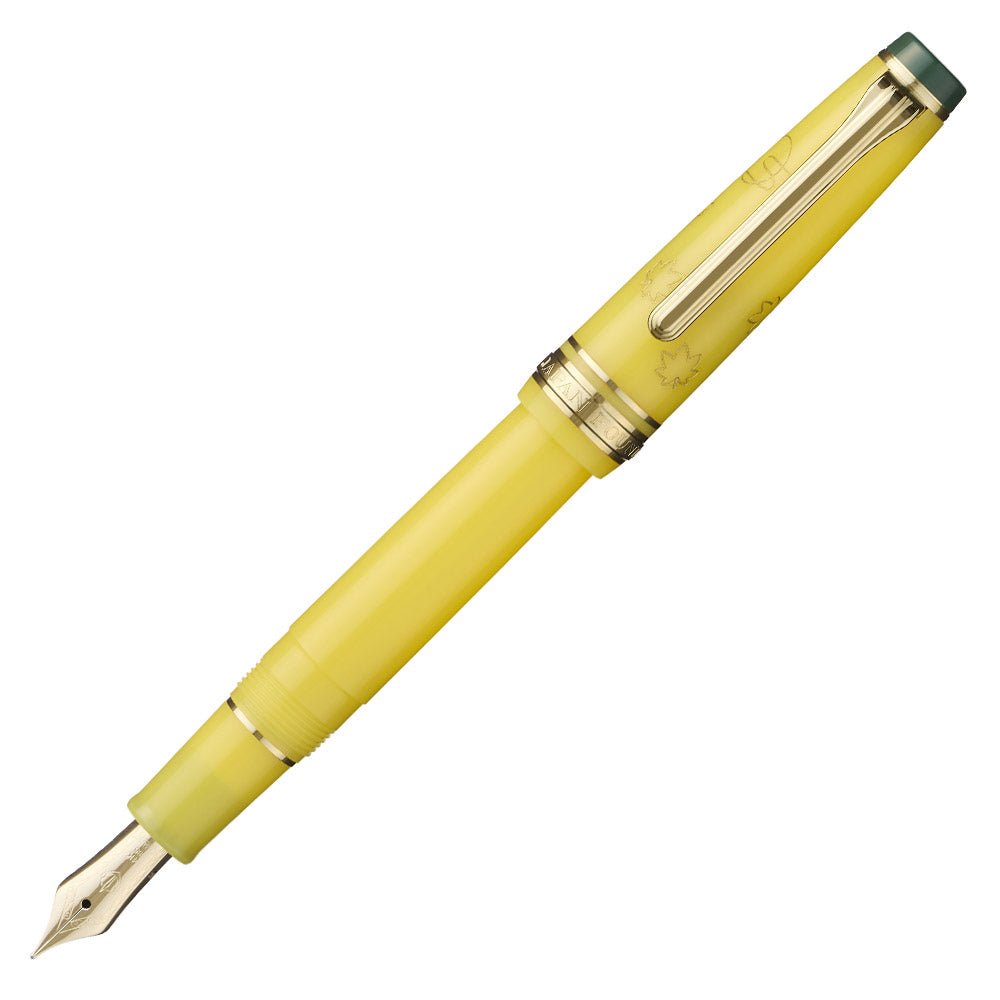 Stylo plume SAILOR Pro Gear Slim Japanese Scenery - Tasogare - Fine (F) - 4901680606550